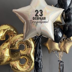 Шары 23 февраля